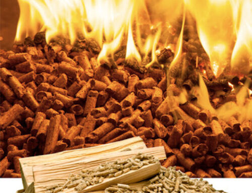 Il Pellet: origine, caratteristiche e certificazioni di qualità